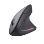 Verto Ergonomic Wireless Mouse-Visual